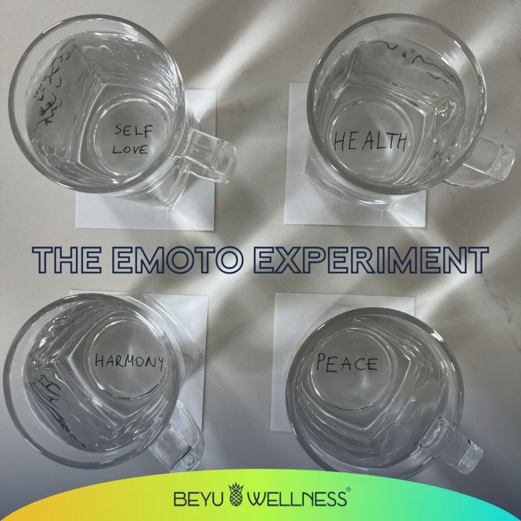 3-step-emoto-water-treatment